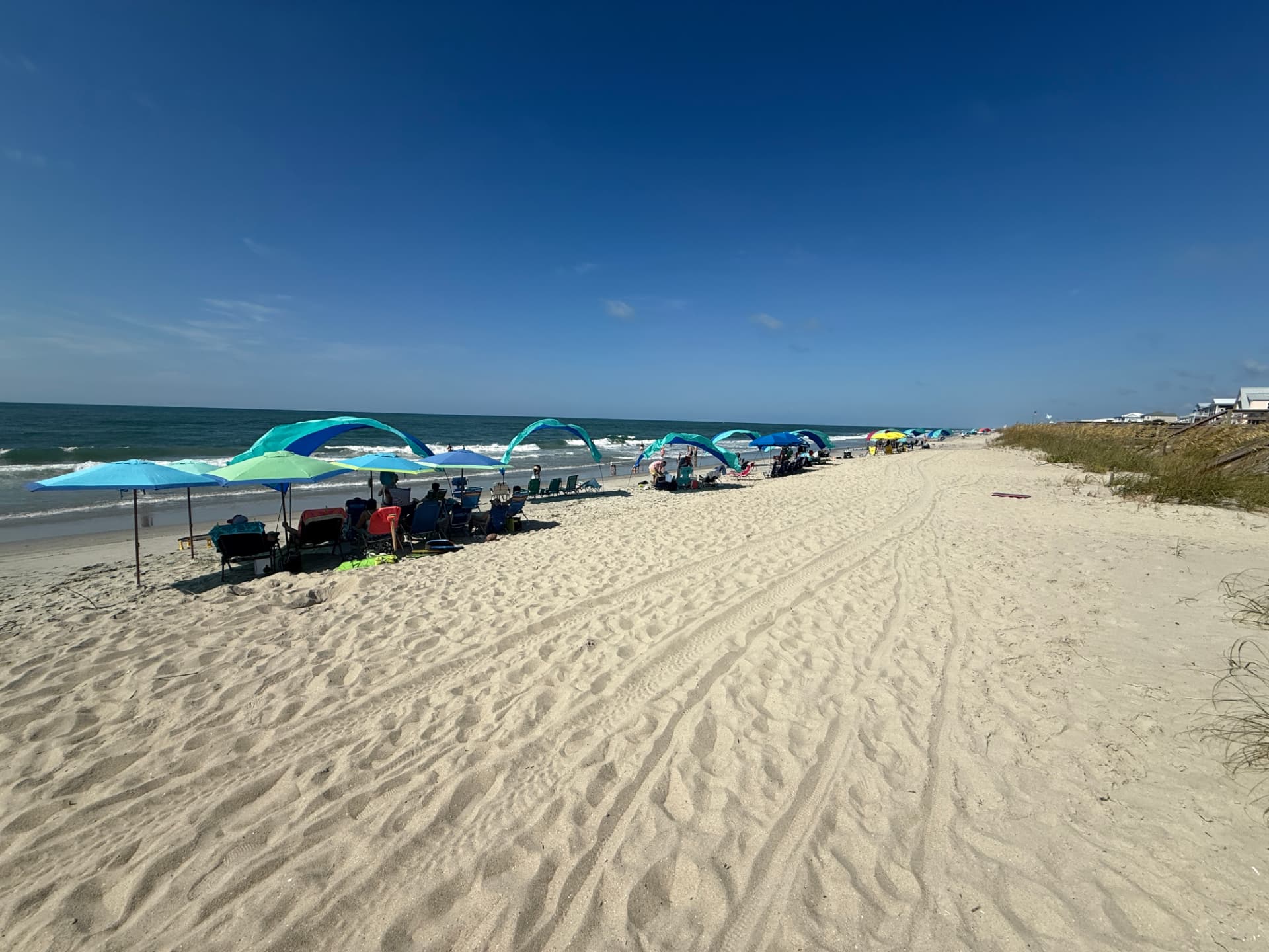Umbrellas along the shoreline on a sunny day
