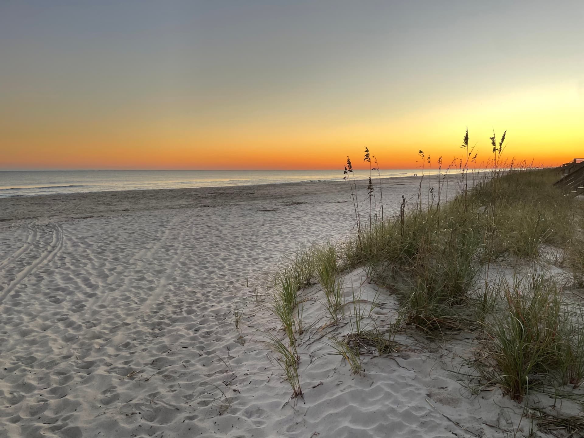 Sea oats and dunes at sunset